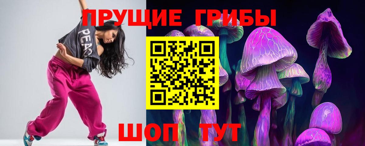 Псилоцибиновые грибы прущие грибы  Псилоцибиновые грибы Psilocybe  Елец  Вход с VPN 